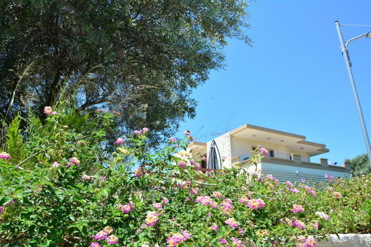 Villa Ikaros Kalamítsion Amigdhálion Exterior foto